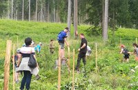 Die Volksschüler aus Obertilliach pflanzen einen Mischwald