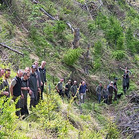 WALDHOANGART am 21. Mai 2026 in Oberlienz