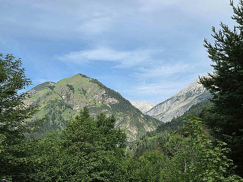 die betroffene Fläche am Absamer Vorberg