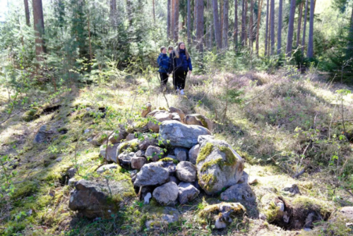 Steine aus der Drau werden zur Reptilienburg aufgetürmt © André Schmidt