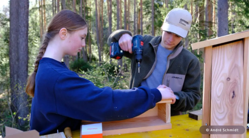 Schülerinnen und Schüler des Gymnasiums Lienz durften sich in der Biodiversitäts-Werkstatt im Amlacher Wald ausprobieren © André Schmidt