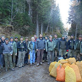 Zapfen für den Tiroler Wald 