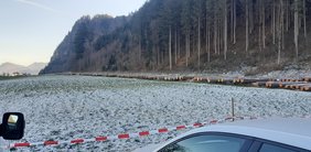 Kostenlose Vermarktung von Wertholz aus dem Tiroler Gebirgswald in der LLA Rotholz