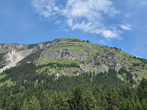 die betroffene Fläche am Absamer Vorberg