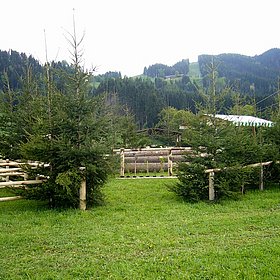 Bauernfestl in Reith im Alpbachtal